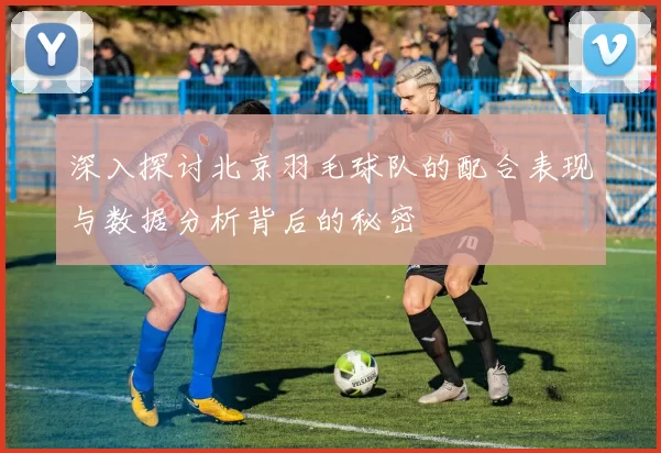 深入探讨北京羽毛球队的配合表现与数据分析背后的秘密