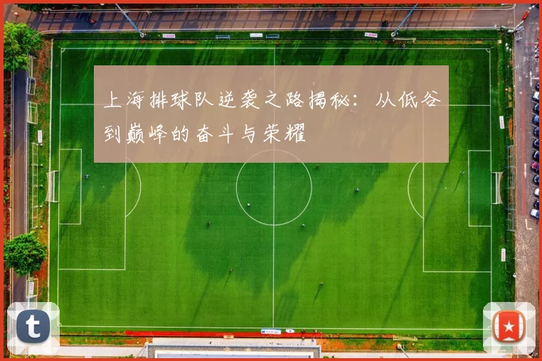 上海排球队逆袭之路揭秘：从低谷到巅峰的奋斗与荣耀