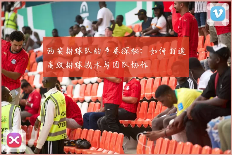 西安排球队的节奏探秘：如何打造高效排球战术与团队协作