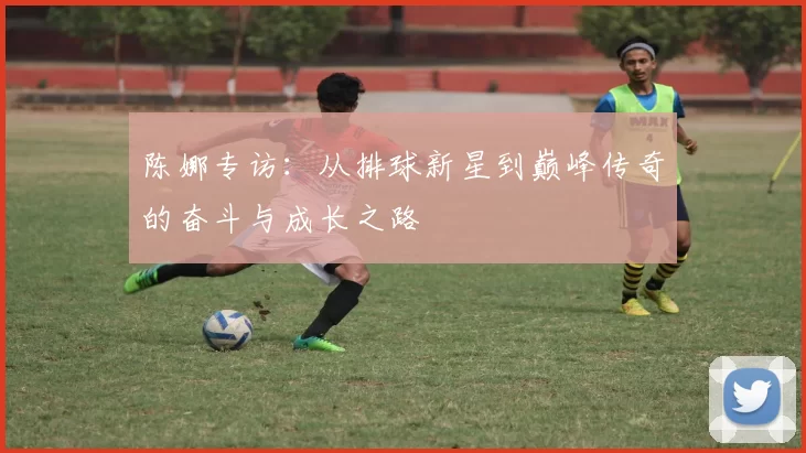 陈娜专访：从排球新星到巅峰传奇的奋斗与成长之路