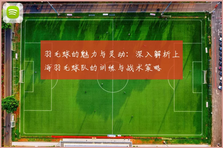 羽毛球的魅力与灵动：深入解析上海羽毛球队的训练与战术策略